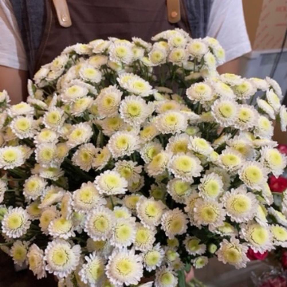 Запах Любви
