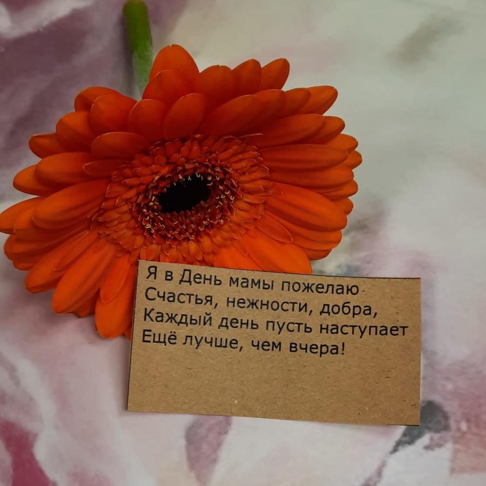 Цветной сон