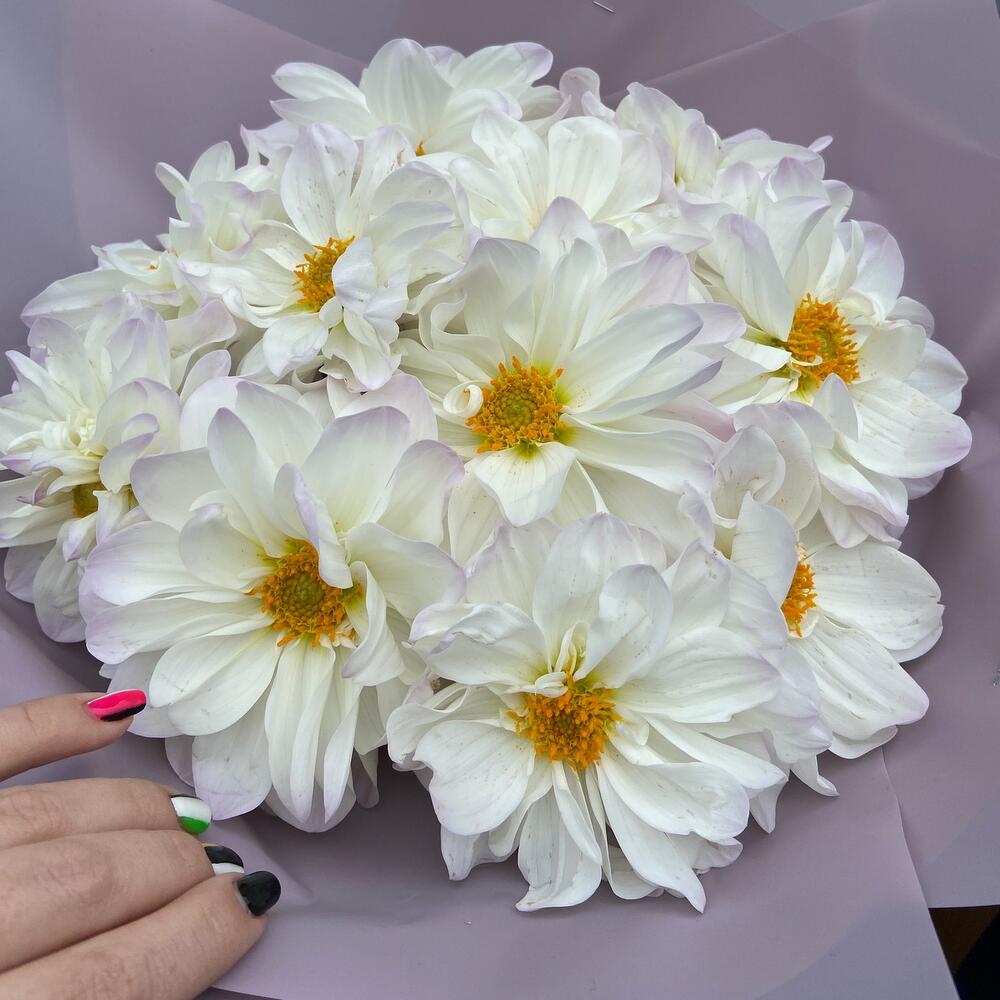 Рустик
