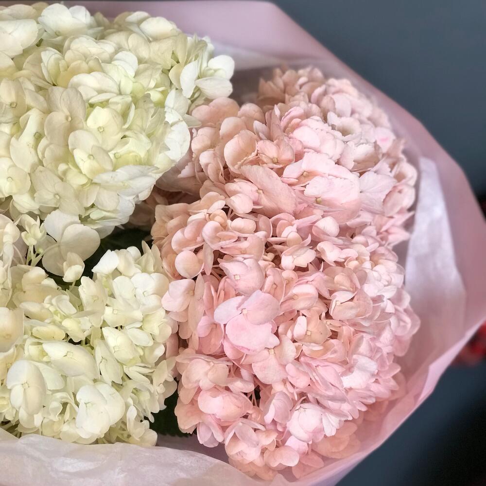 Монобукет из гортензий