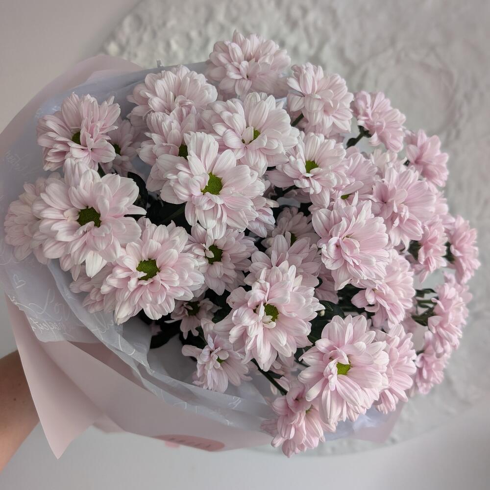 75 розовых ромашек