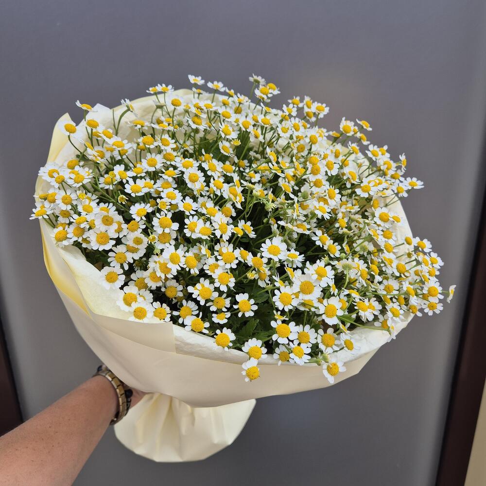 Букет  ромашек