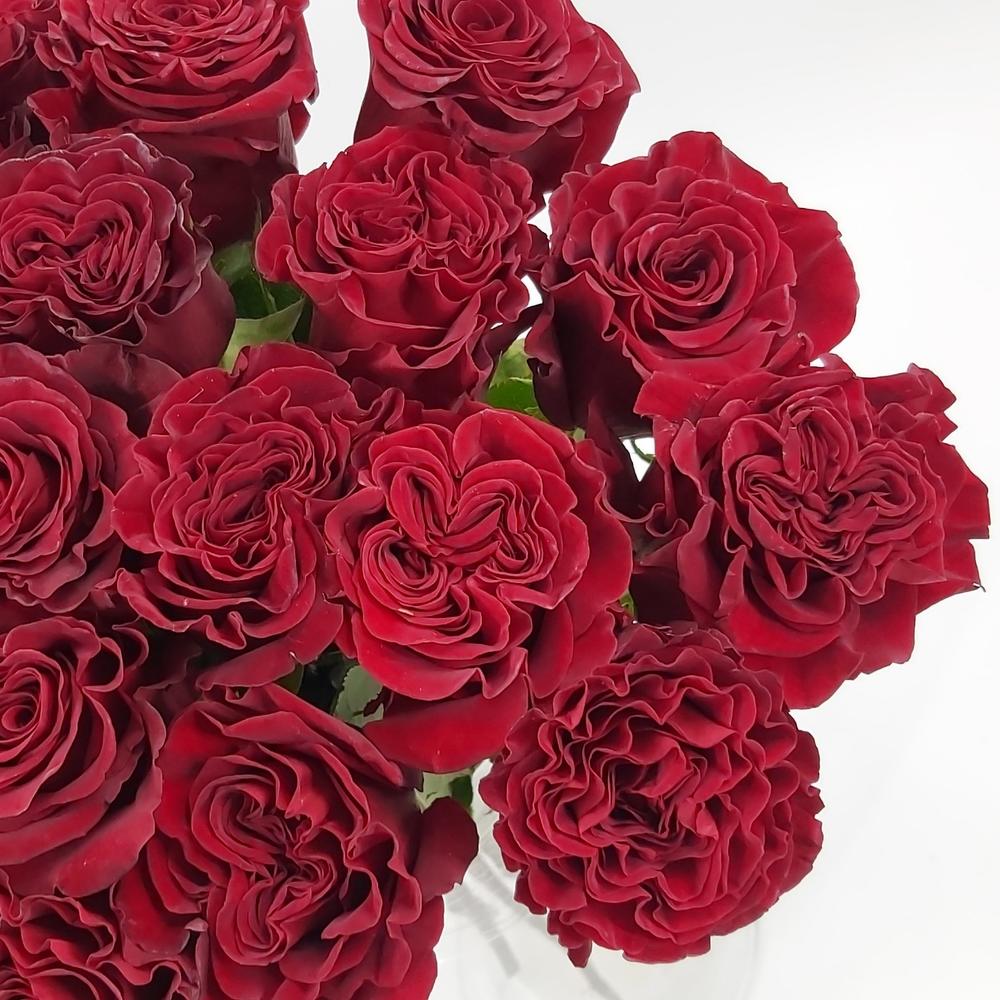 Роза Hearts 50см