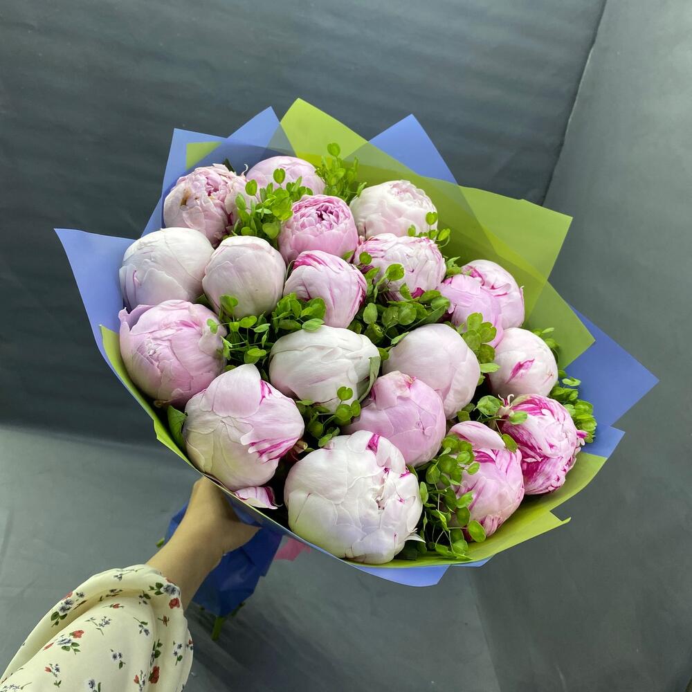 Пион 19