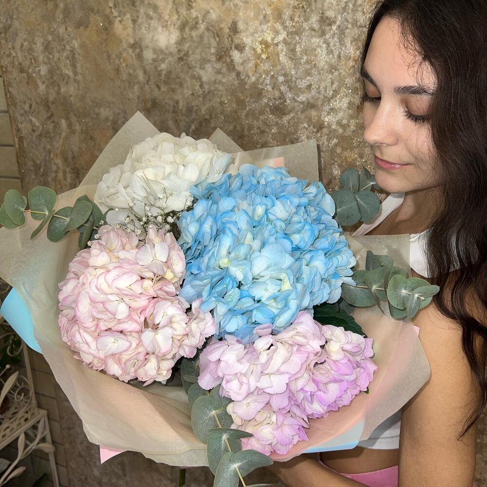 Hydrangea love