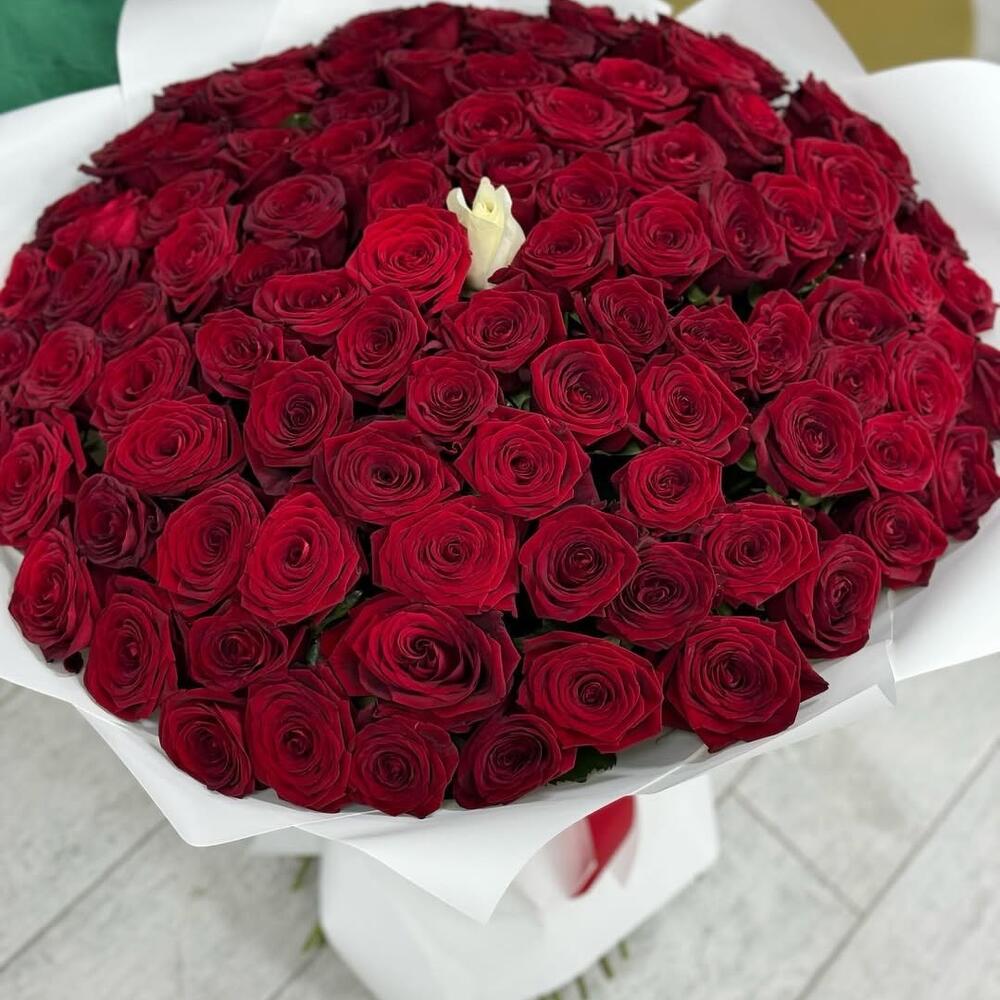 You are my one and only