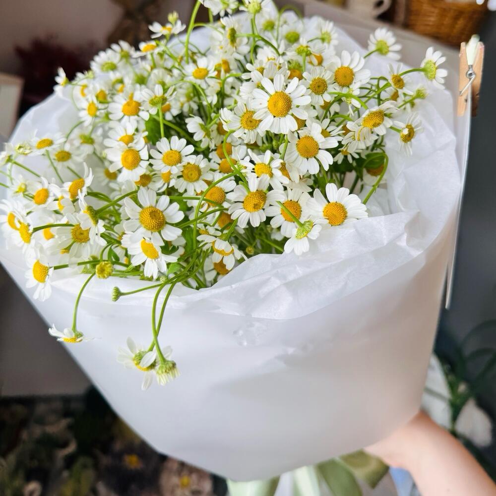 Полевой букет с ромашками