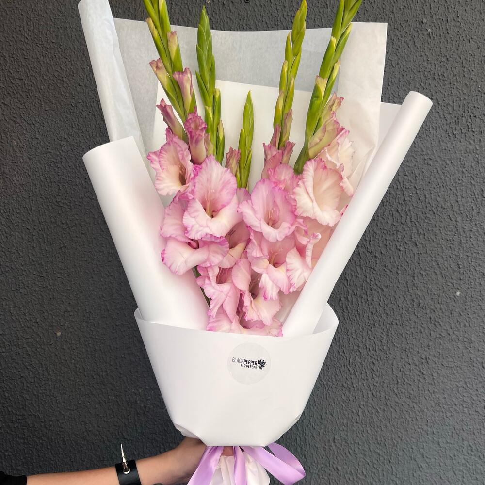 POWDER DREAM OF GLADIOLUS