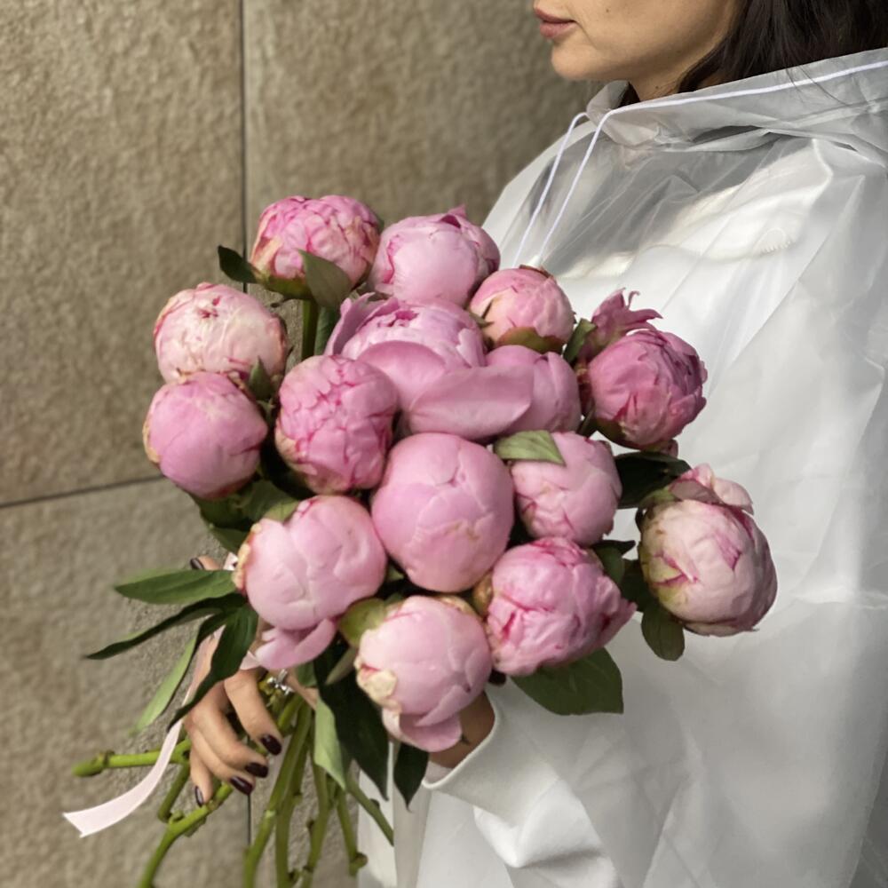 15 розовых пионов