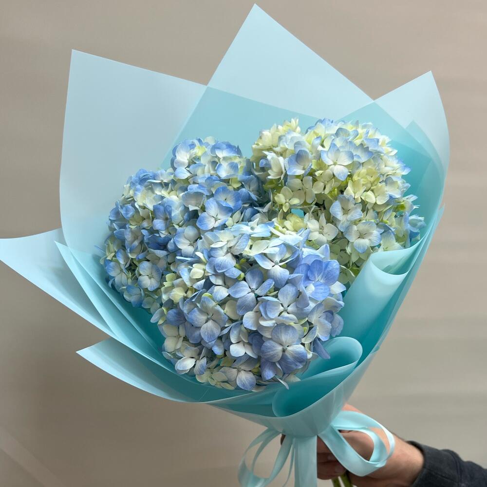 Букет из 1 гортензии. Букеты только из гортензии. Букет с розовой гортензией. Упаковать гортензию своими руками. Букет с белой гортензией.