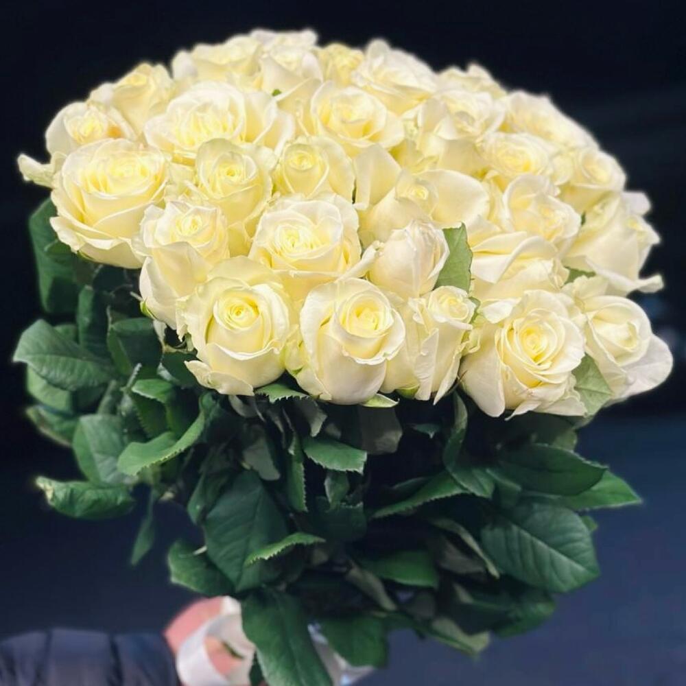 Rose bianche di lusso 31pcs 80cm