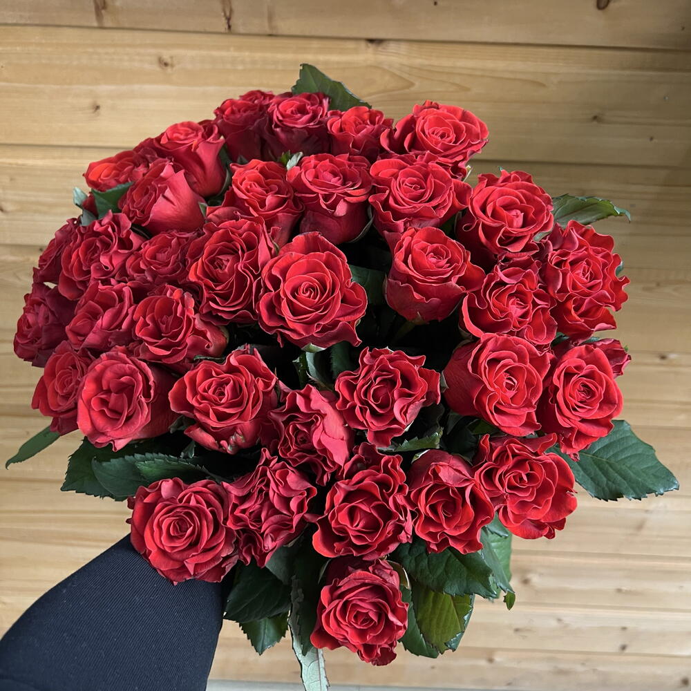 Розы Эль торо 35 шт