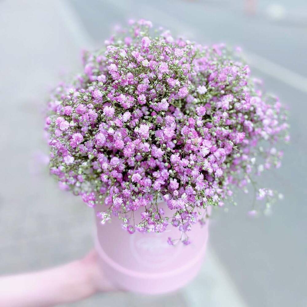 Букет Гипсофила в шляпной коробке Petit PINK