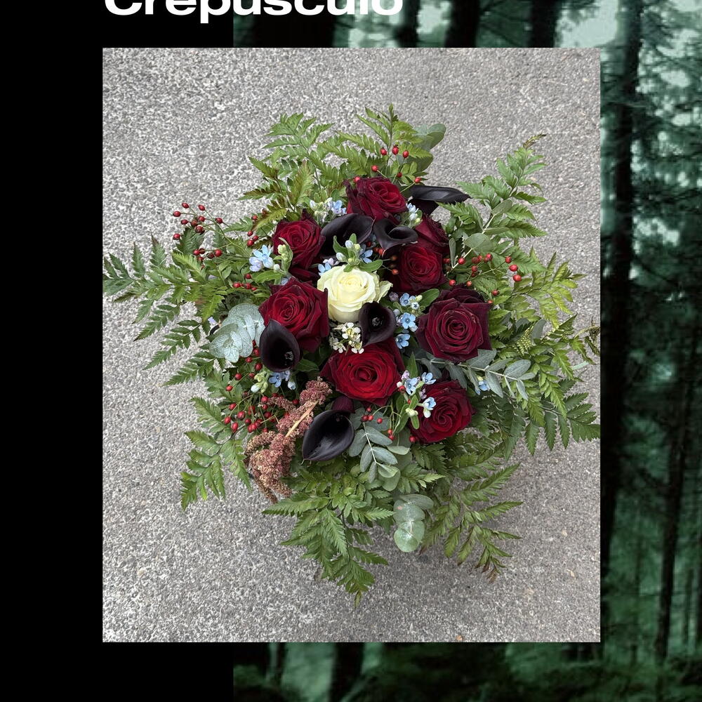 Twilight, Flores Barcelona, Cataluña, España, comprar a un precio