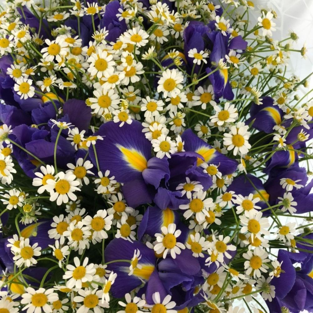 Букет Ромашки и Ирисы