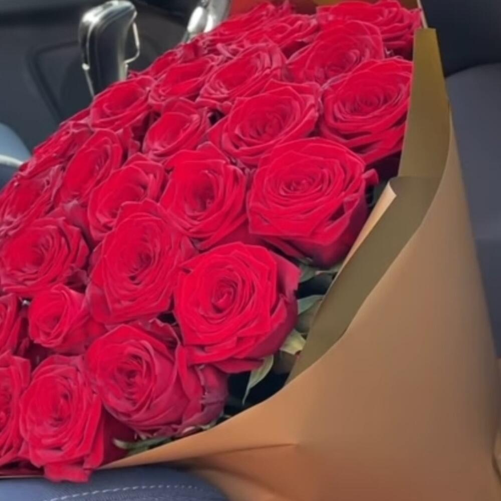 Rose Explorer