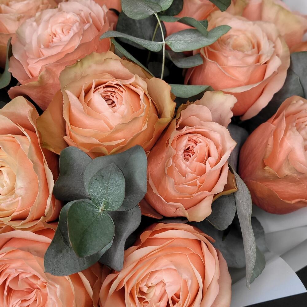 Букет пионовидных роз _11 "Golden rose"