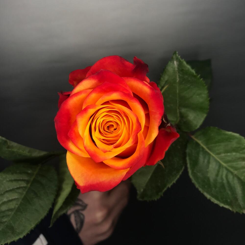 review-photo
