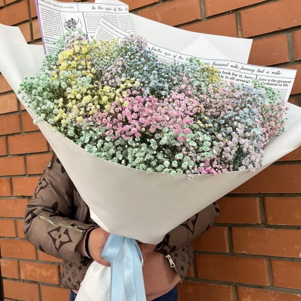 Радужная гипсофила XXXL