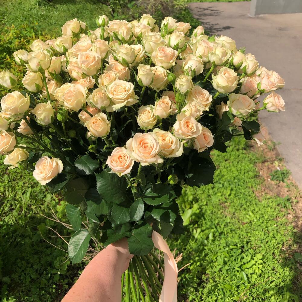 Букет кремовых кустовых роз София