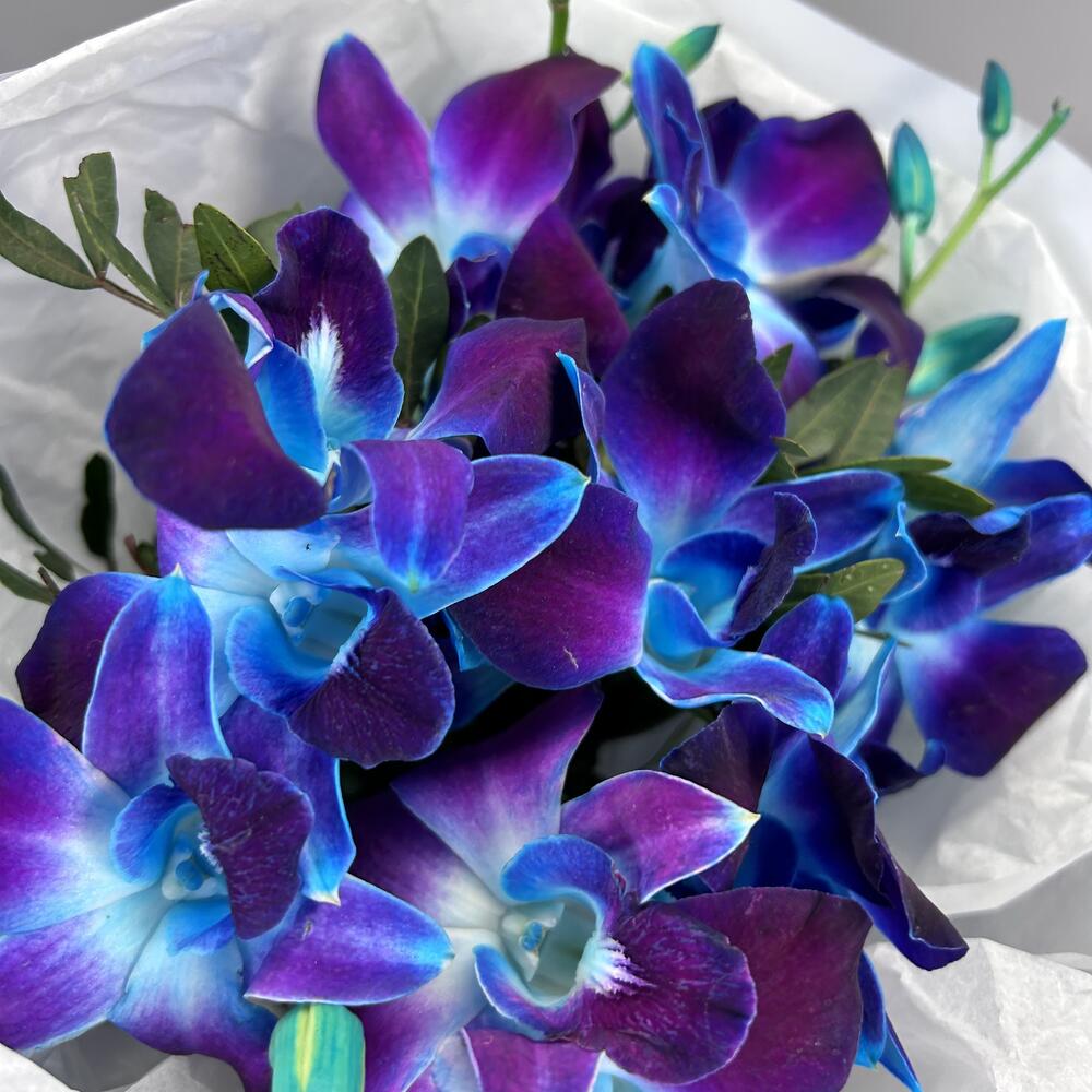 Букет из дендробиума
