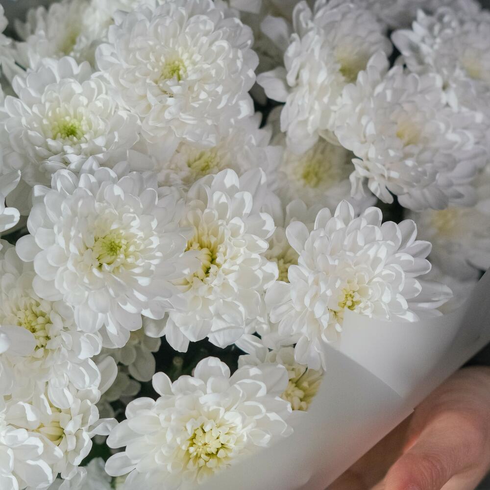 Моно-букет из кустовых хризантем "Только для тебя"