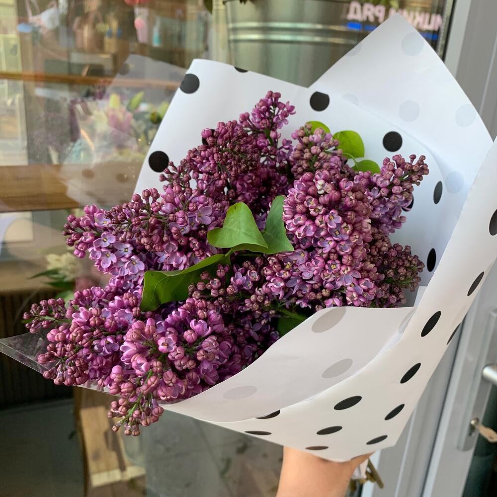 Сирень