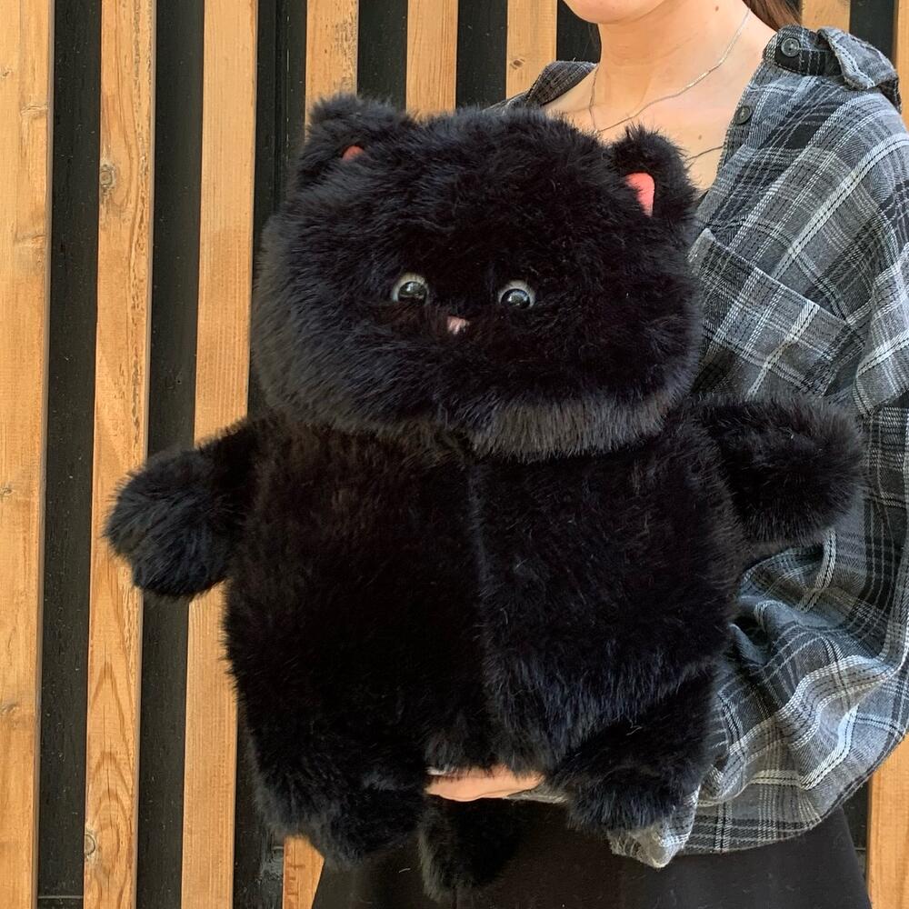 КОТ ЧЕРНЫЙ