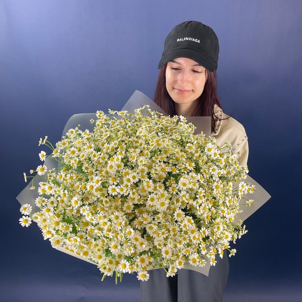 Танацетум