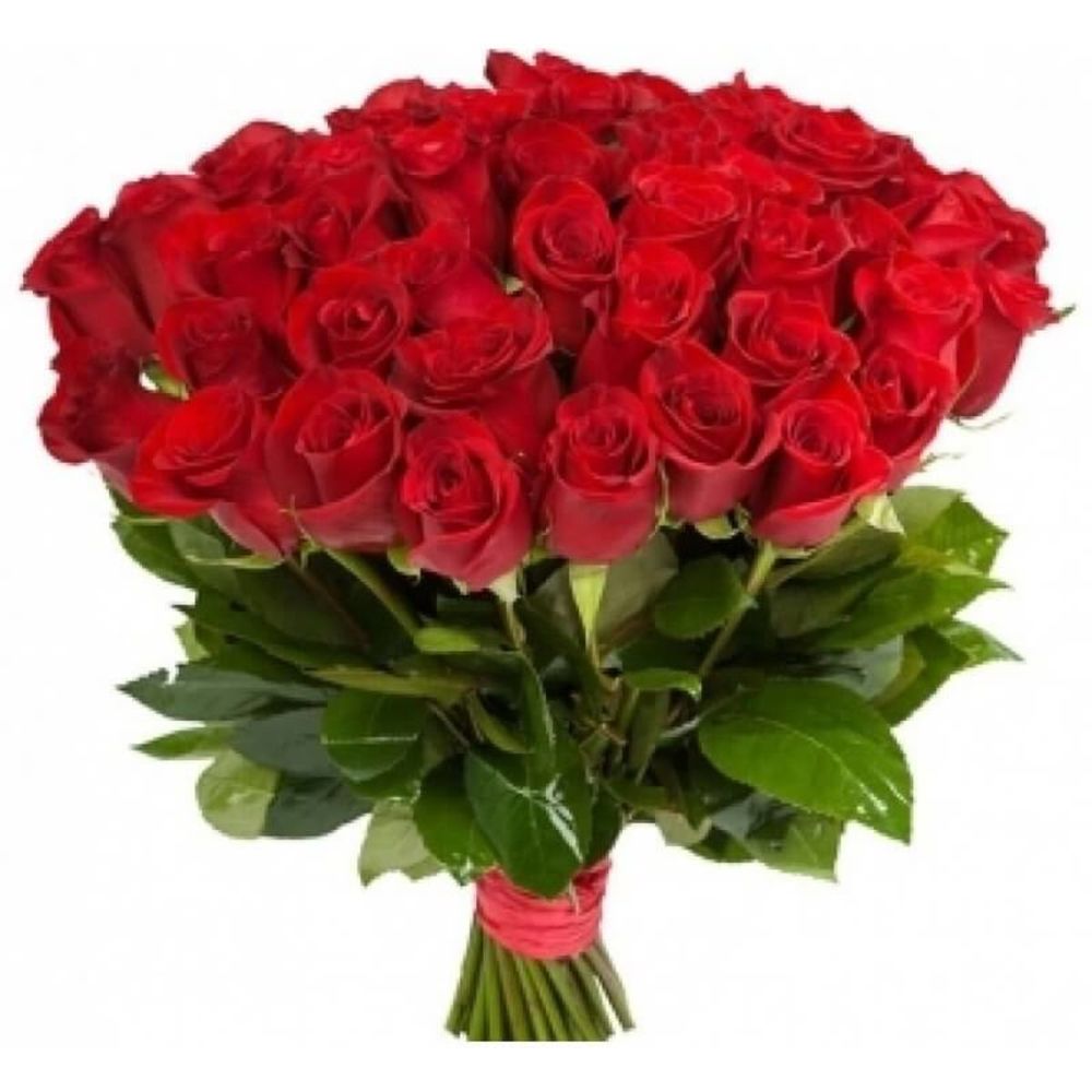 15 Красных роз Эквадор