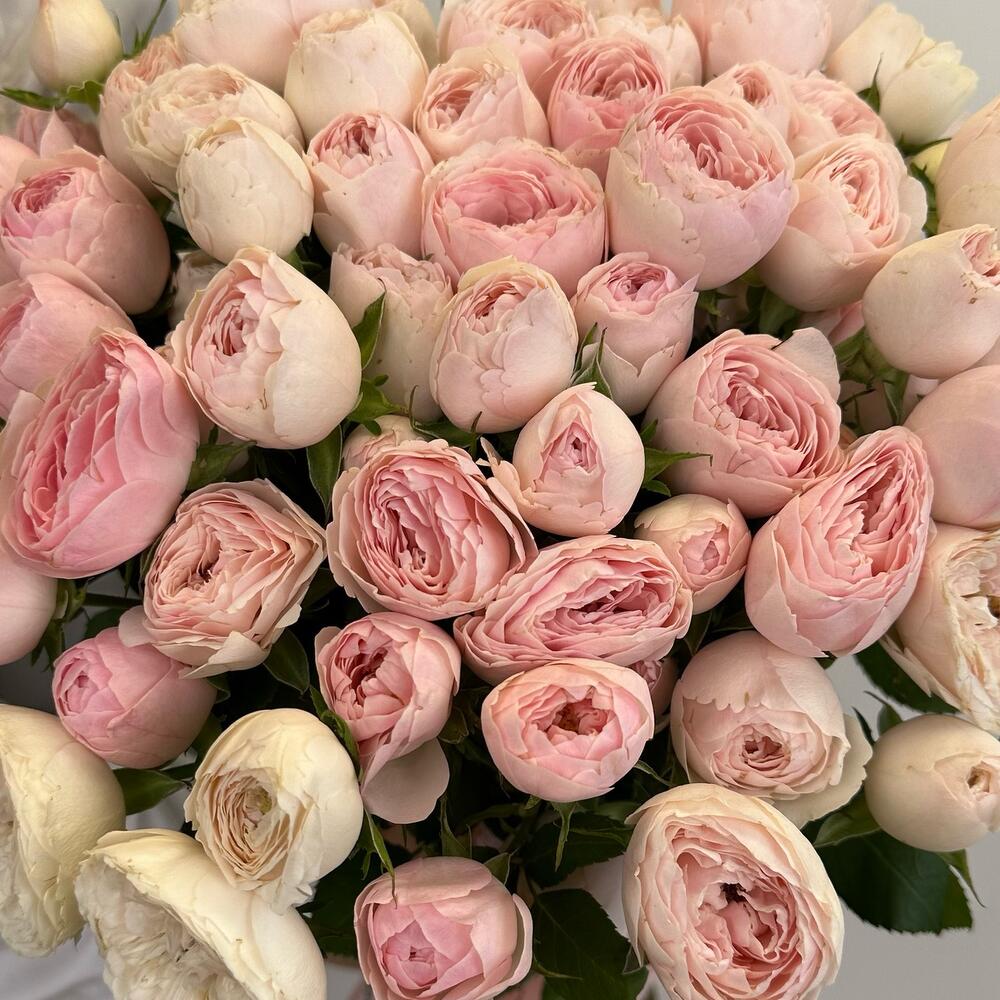 ✅✅✅Нежные пион розовые розы перевязанные лентой 💝