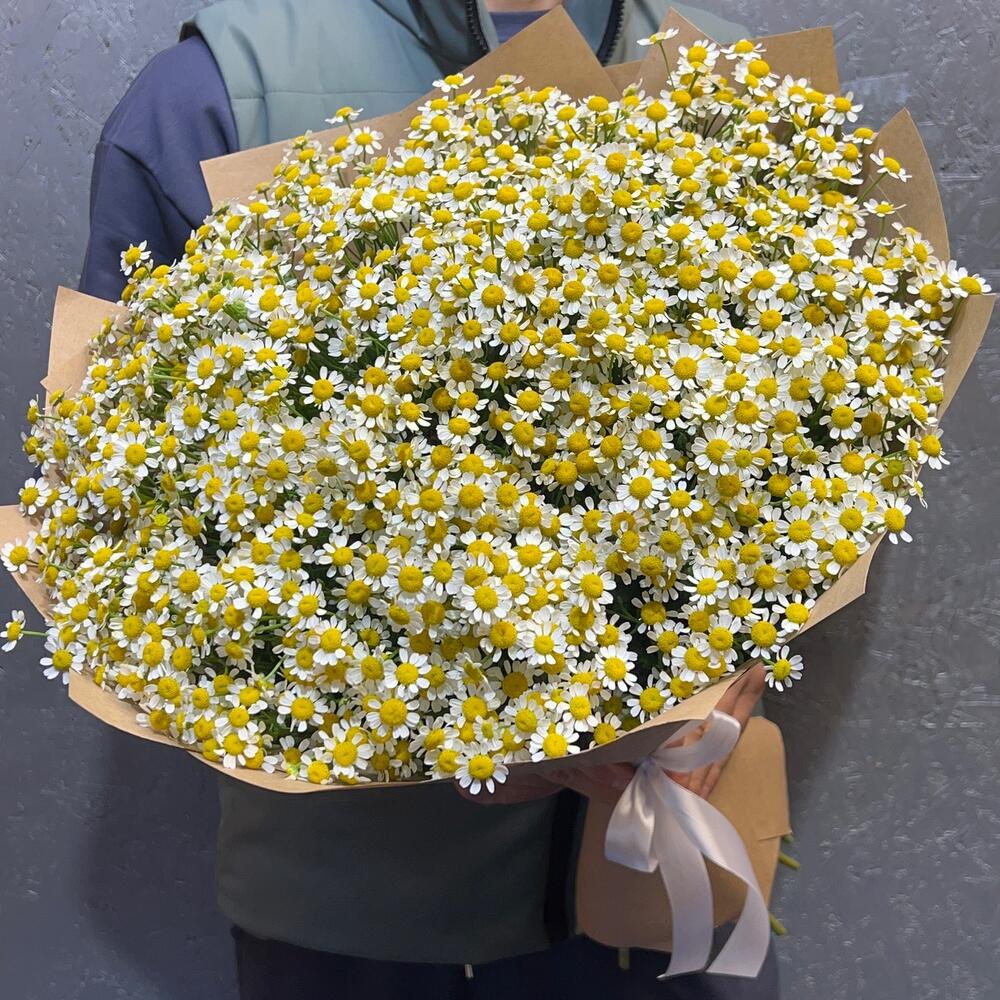 Ромашка кустовая в крафте
