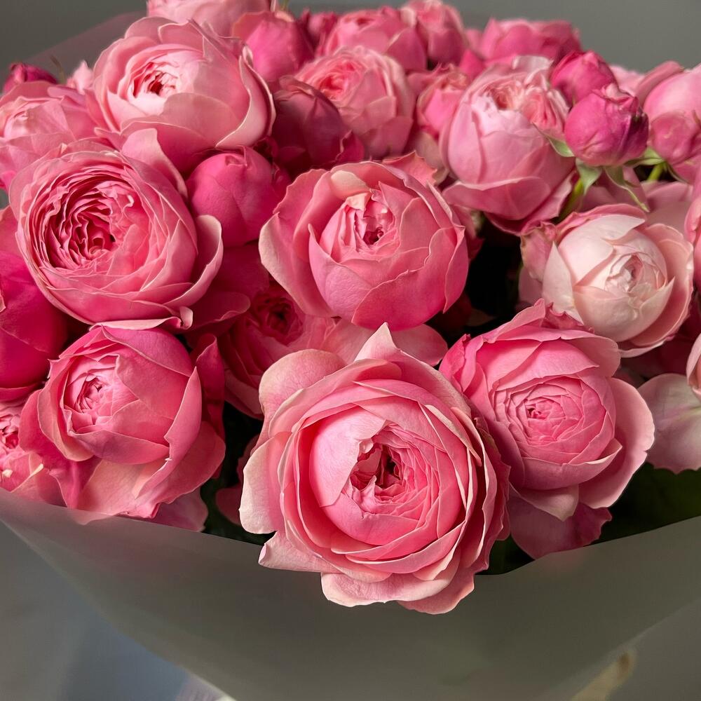 15 кустовых пионовидных роз🌸