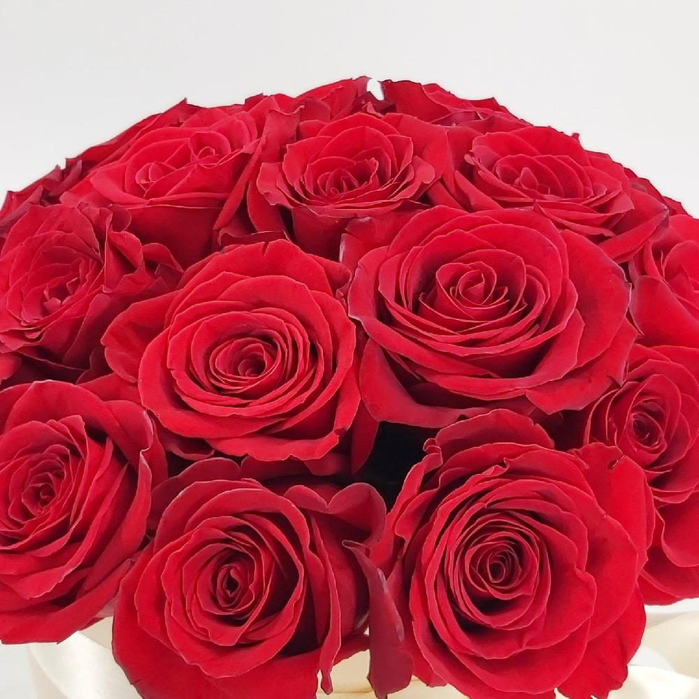 ✅  Красная Шапочка ХИТ 💐