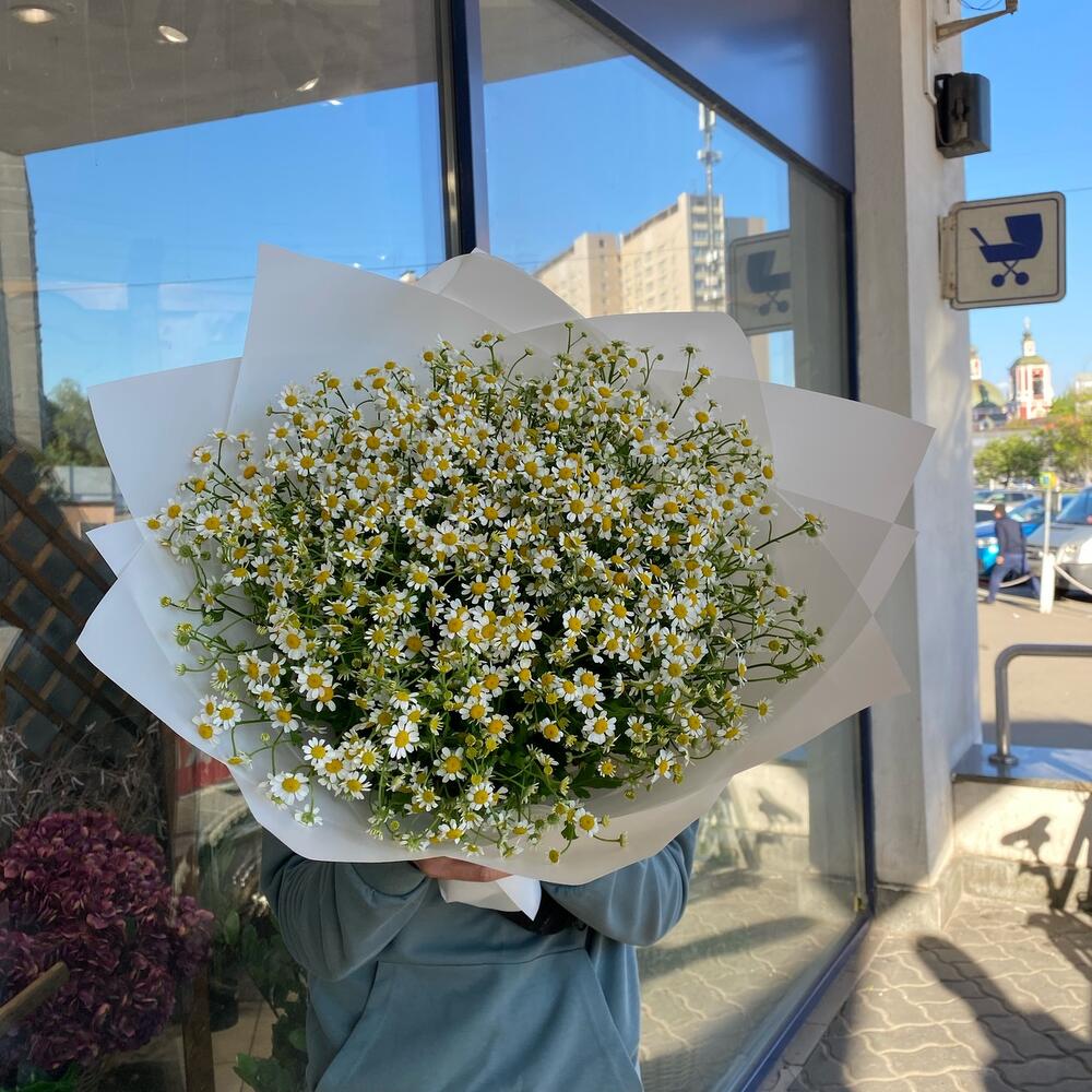 Ромашки