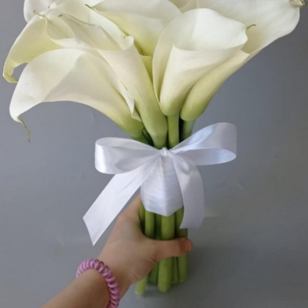 Калла белая