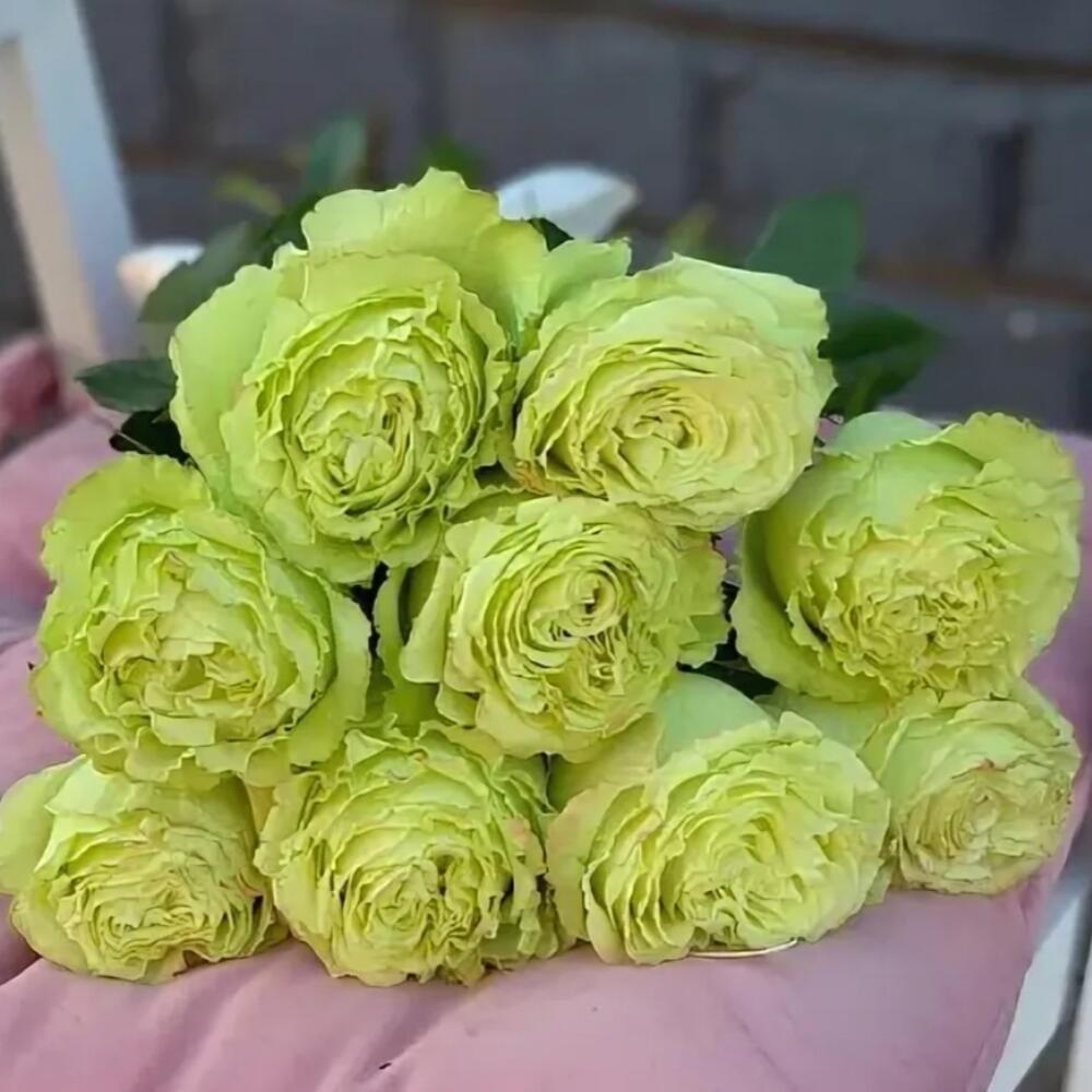 Красивый комплимент с пион Лимонад