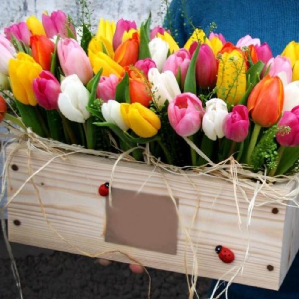 Купить Сейчас Тюльпаны В Могилеве
