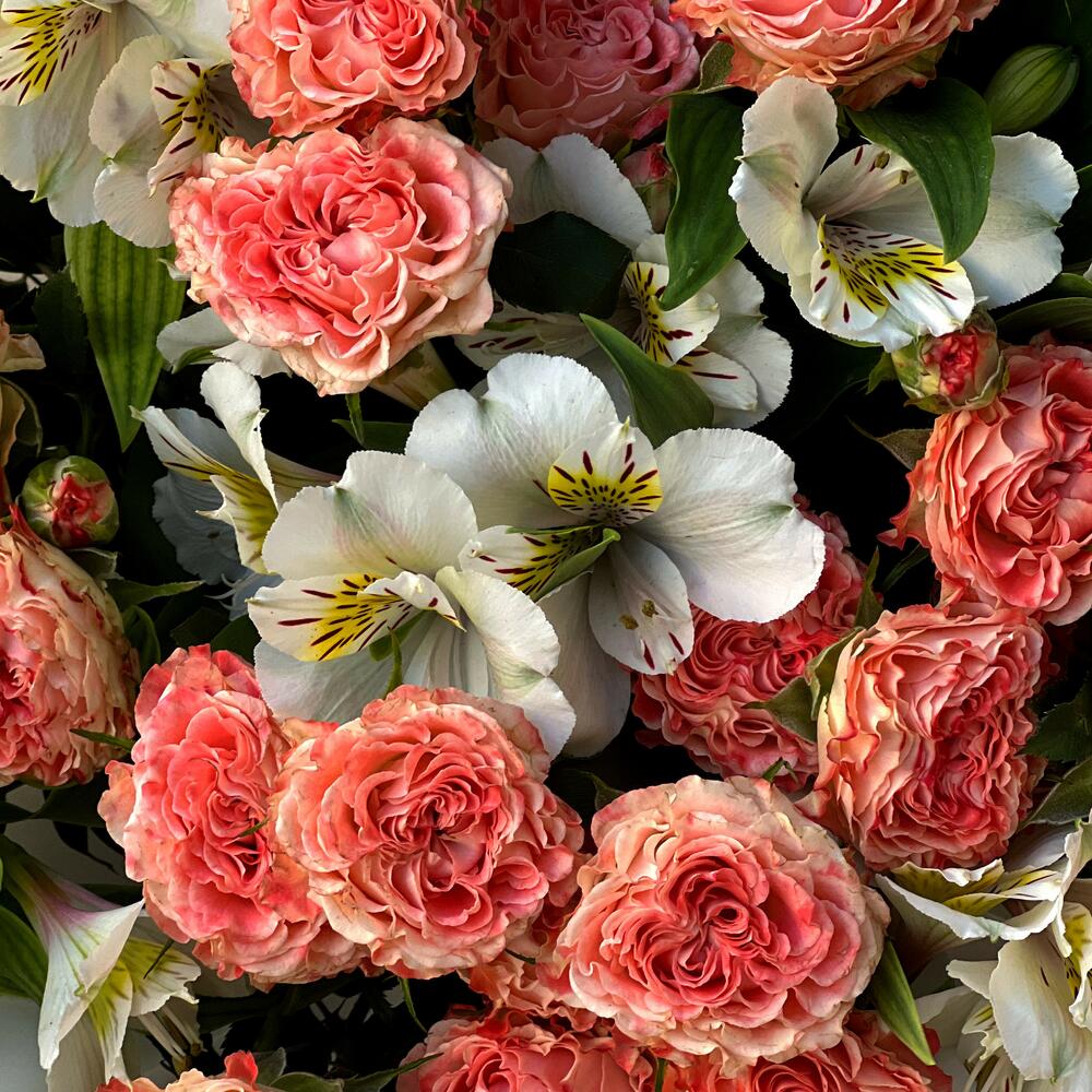Spray Roses Bouquet N-035