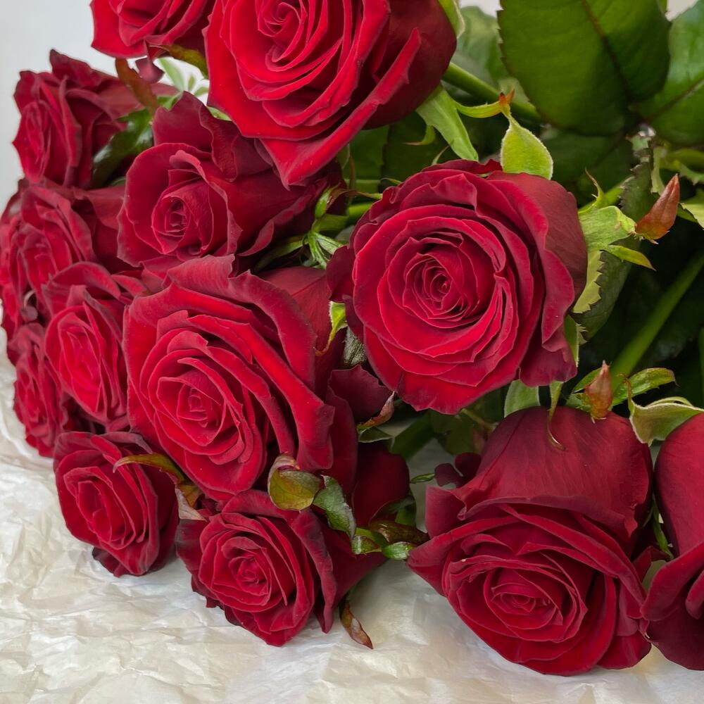 🥇 Красный бархат 13 бордовых роз ♥️