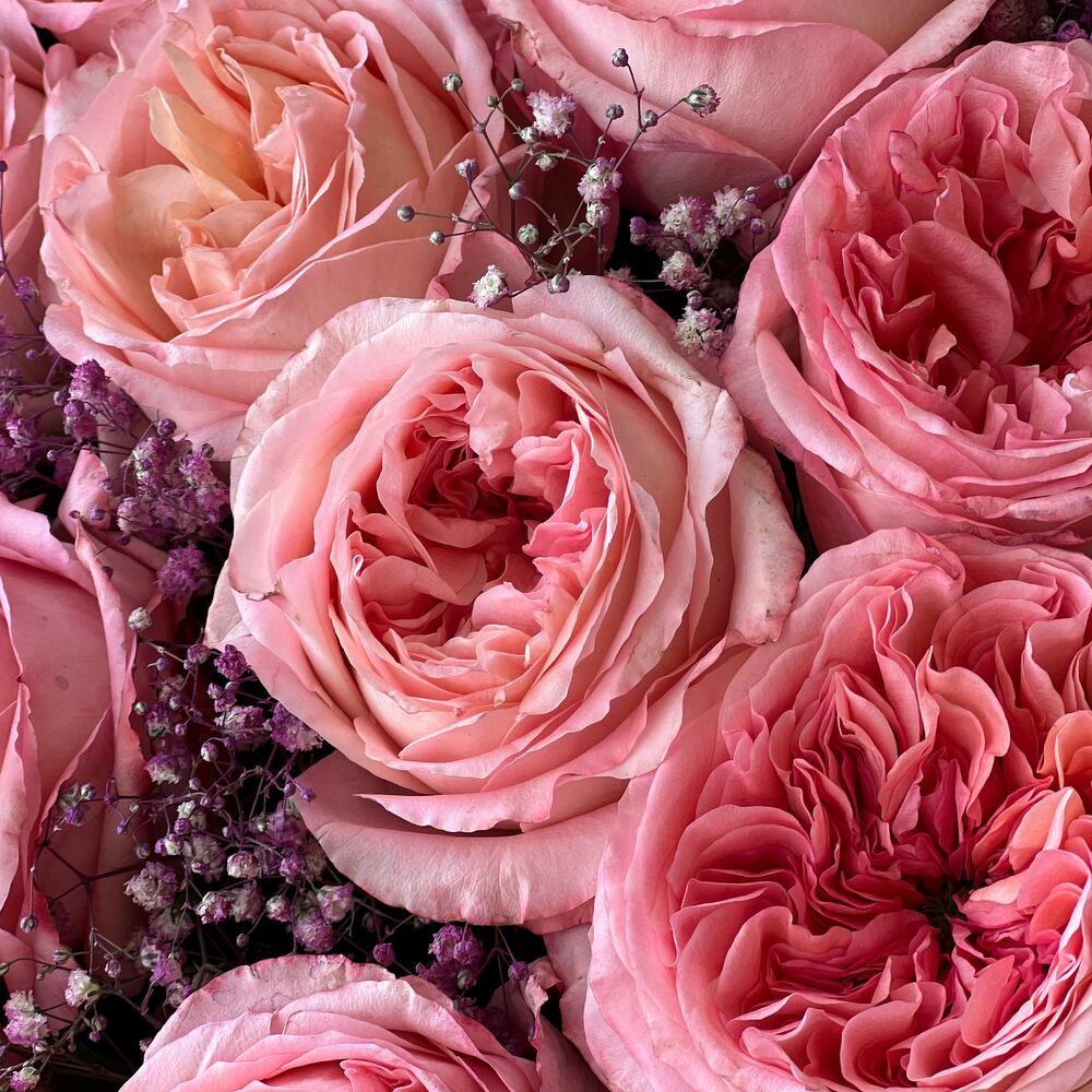Pion Roses Bouquet