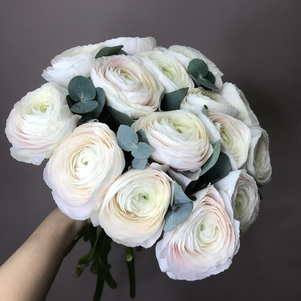 Ранункулюс 15 шт