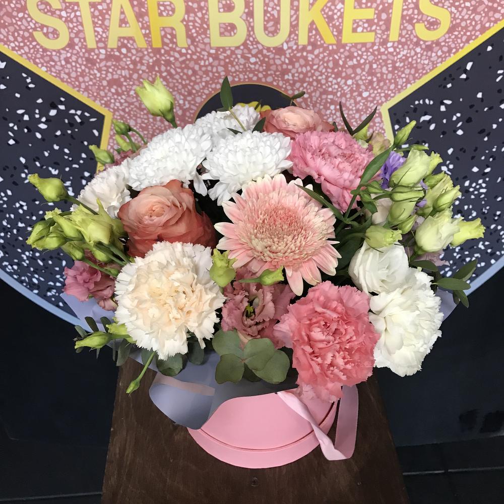 Star Box 🌟