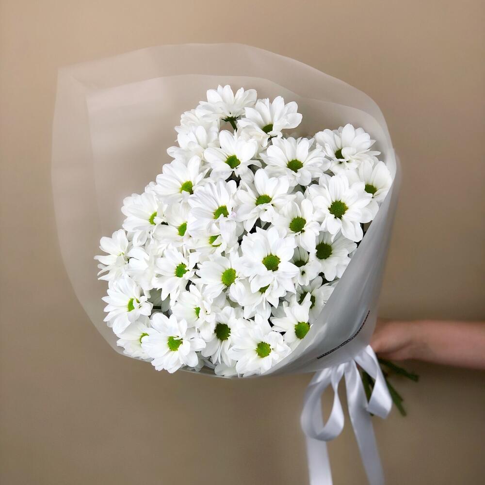 Chrysanthemum