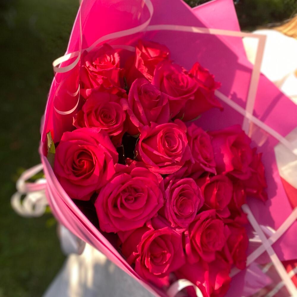 Pink roses