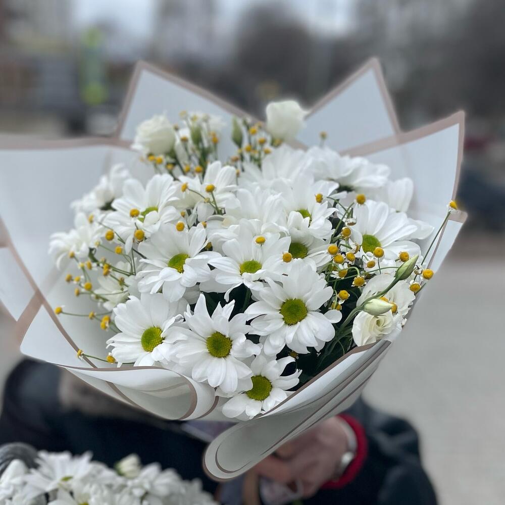 Ромашковое поле