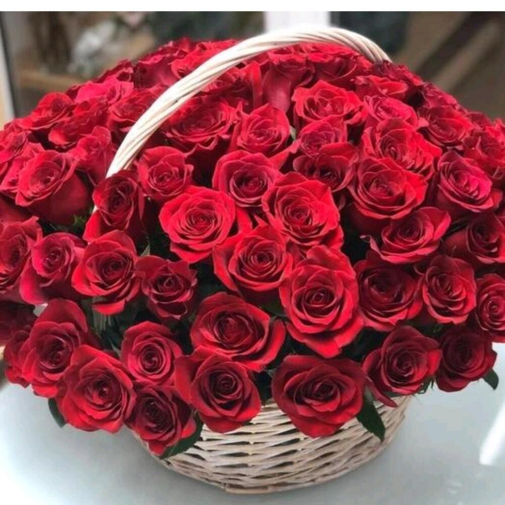 Корзина из 101 красной розы
