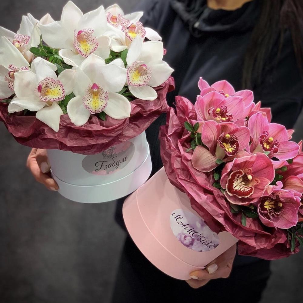 Коробка с орхидеями. Орхидея в коробке. Орхидея в коробке. Орхидея в коробке. Коробка с цветами прямоугольная.