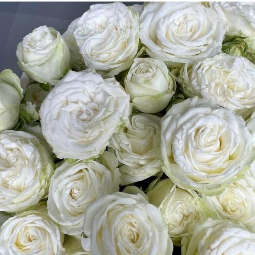 Bouquet of white peony-shaped bush roses 11 pcs
