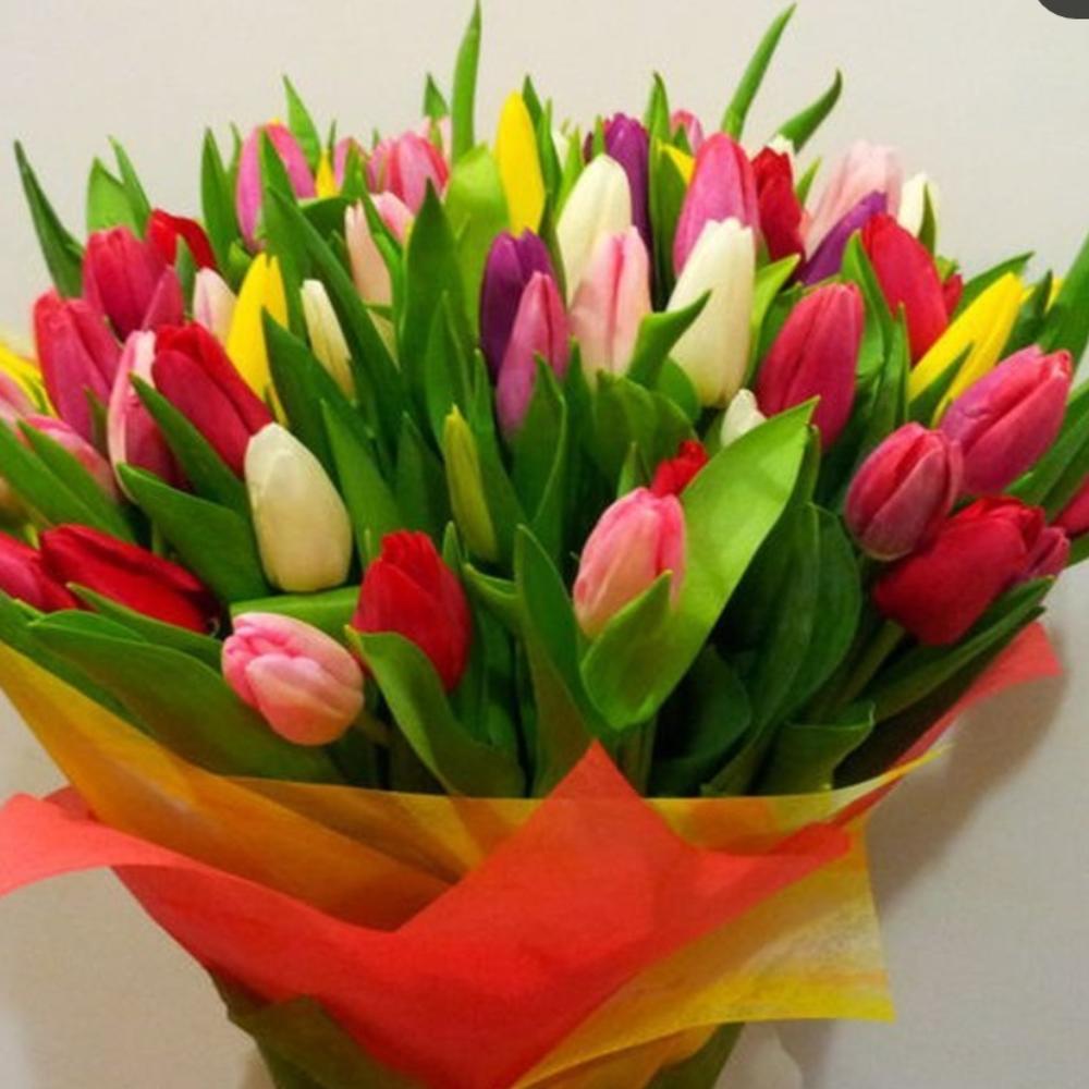 Фото тюльпанов красивые реальные. Букет тюльпанов. Букет разноцветных тюльпанов. Букет из разноцветных тюльпанов. Шикарный букет из тюльпанов.